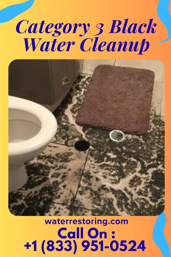 Category 3 Black Water Cleanup in Bardstown, KY
