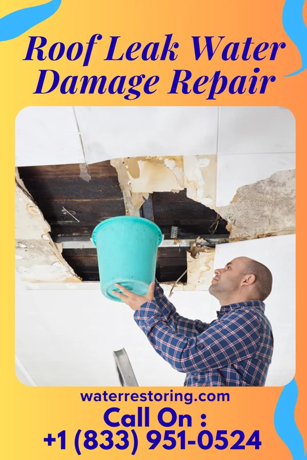 Roof Leak Water Damage Repair in Bardstown, KY