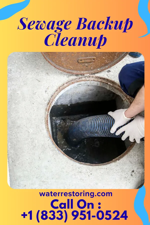 Sewage Backup Cleanup in Bardstown, KY