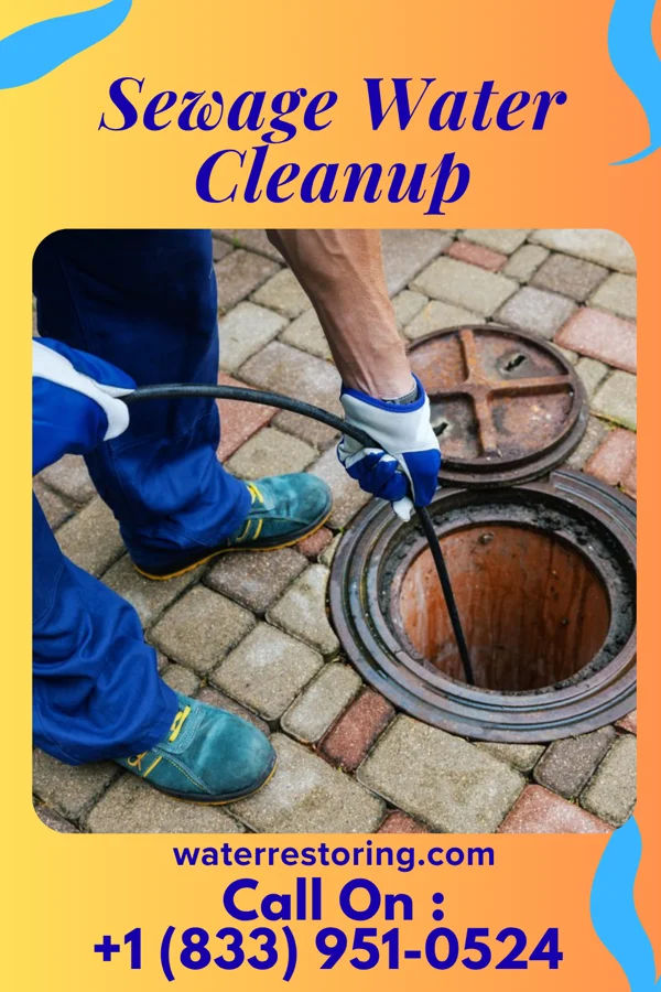 Sewage Water Cleanup in Bardstown, KY